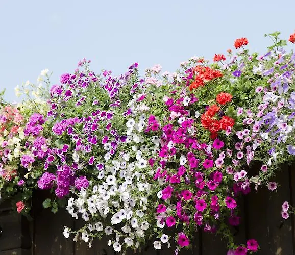 Lägenhet Alpensport Stubai - Tannenheim *