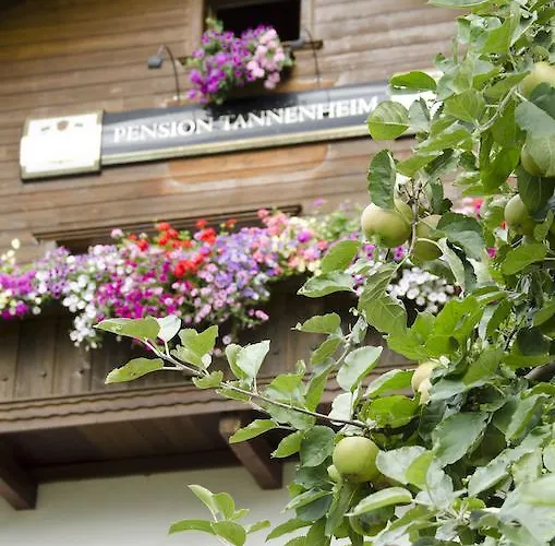 Alpensport Stubai - Tannenheim Lägenhet